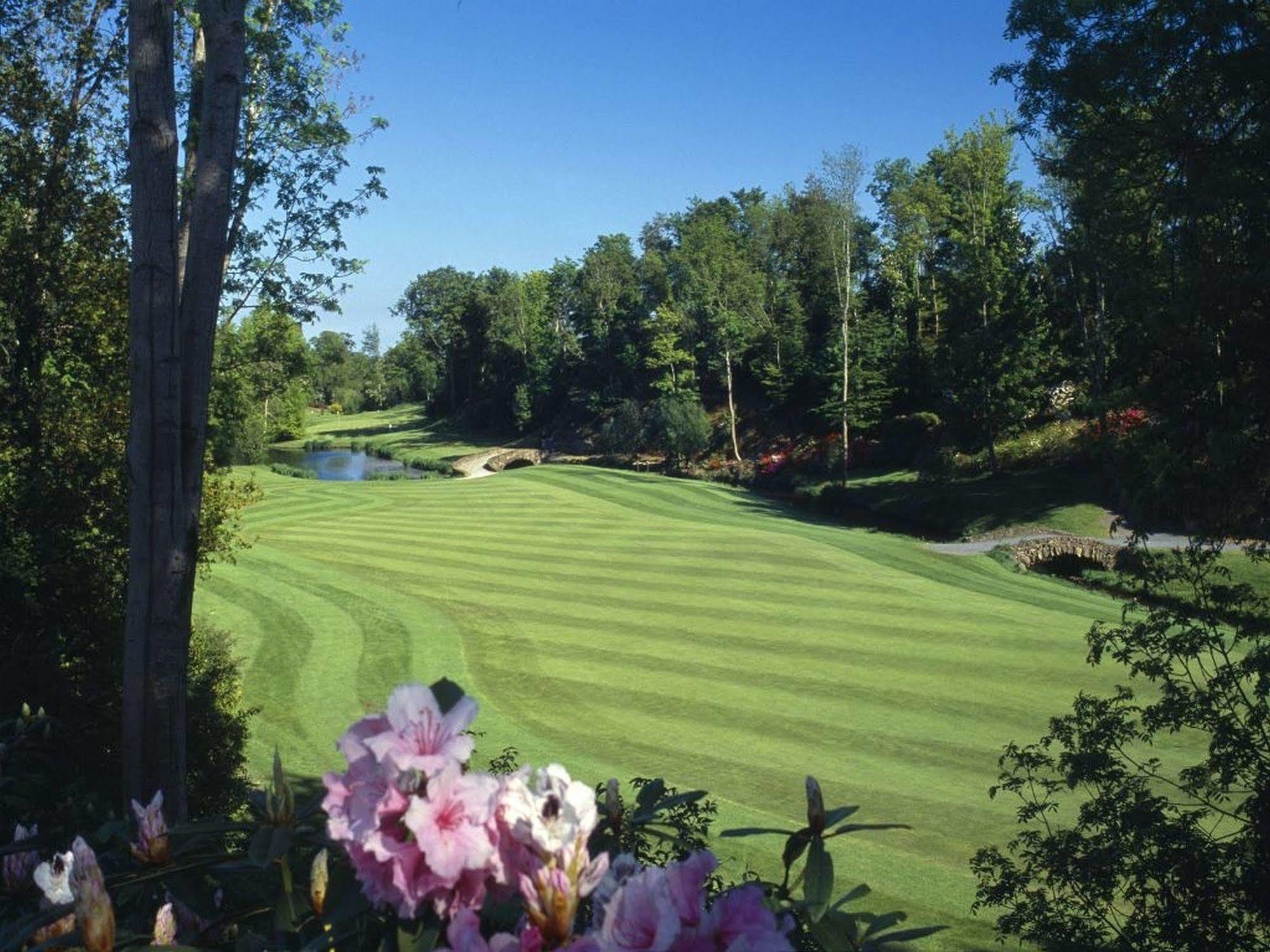 Druids Glen Resort Newtown Mount Kennedy Exterior foto